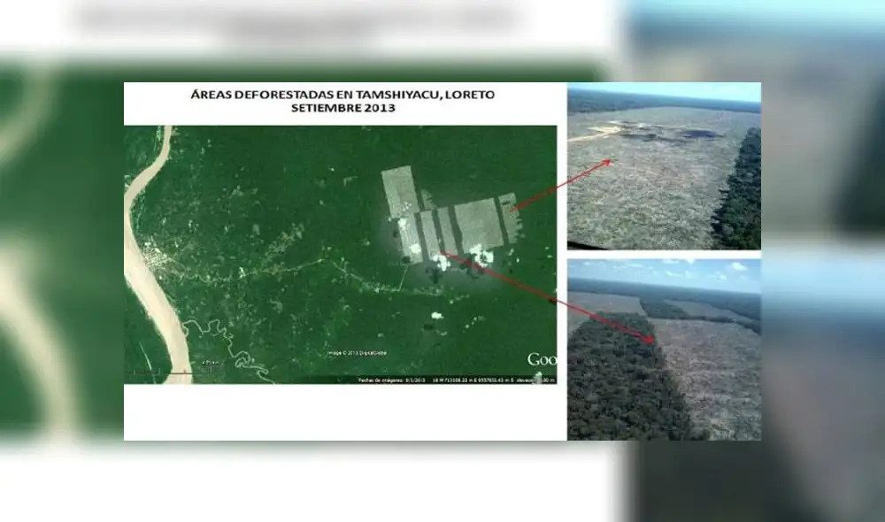 Se pudo verificar que la empresa arrasó con bosque natural con actividad agrícola para iniciar el cultivo de cacao. Se pudo verificar que la empresa arrasó con bosque natural con actividad agrícola para iniciar el cultivo de cacao.