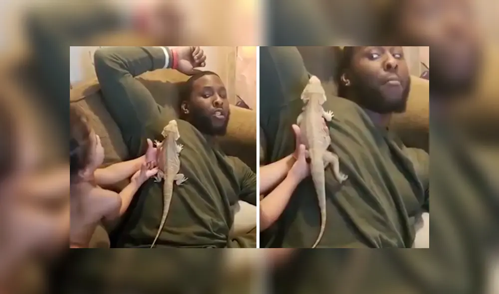 YouTube viral: la hilarante reacción de un papá, luego de que su hijo le coloque un reptil en el cuerpo YouTube viral: la hilarante reacción de un papá, luego de que su hijo le coloque un reptil en el cuerpo