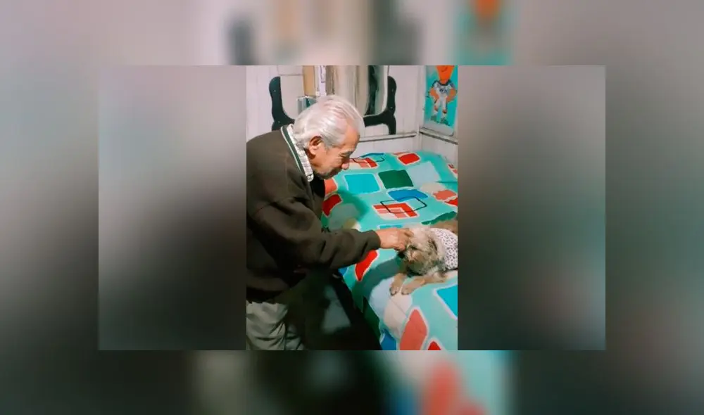 Desliza las imágenes para ver la divertida coreografía que hizo un anciano junto a su querida mascota. Foto: elabuemax/TikTok Desliza las imágenes para ver la divertida coreografía que hizo un anciano junto a su querida mascota. Foto: elabuemax/TikTok