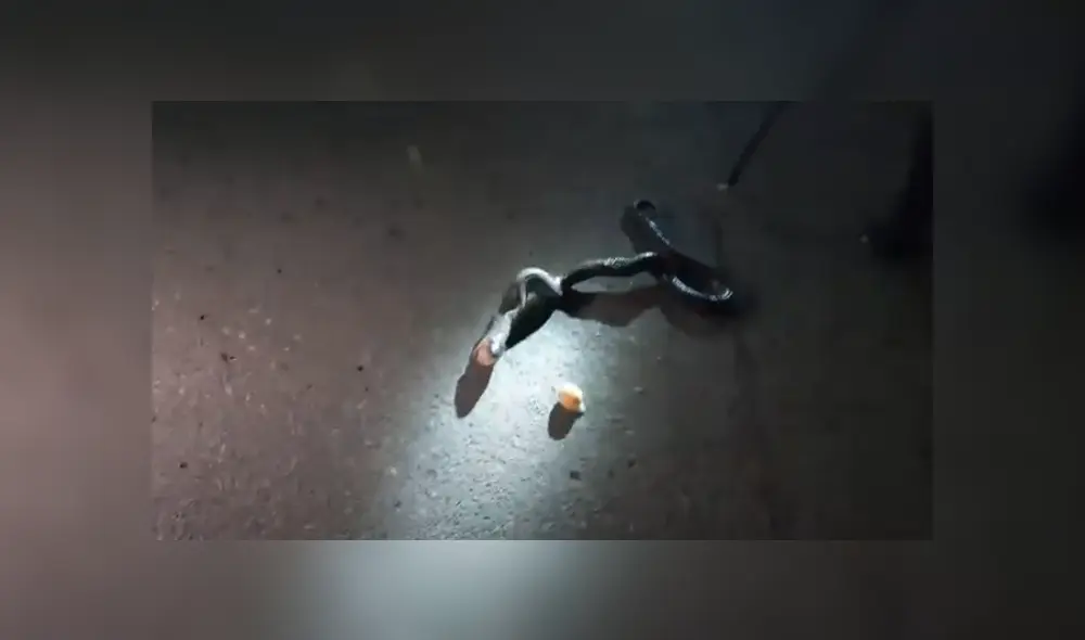 Desliza hacia la izquierda para ver las imágenes del viral de Facebook. Desliza hacia la izquierda para ver las imágenes del viral de Facebook.