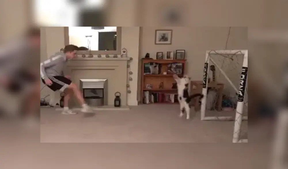 Desliza para ver los detalles del video viral publicado en TikTok. Foto: Captura. Desliza para ver los detalles del video viral publicado en TikTok. Foto: Captura.