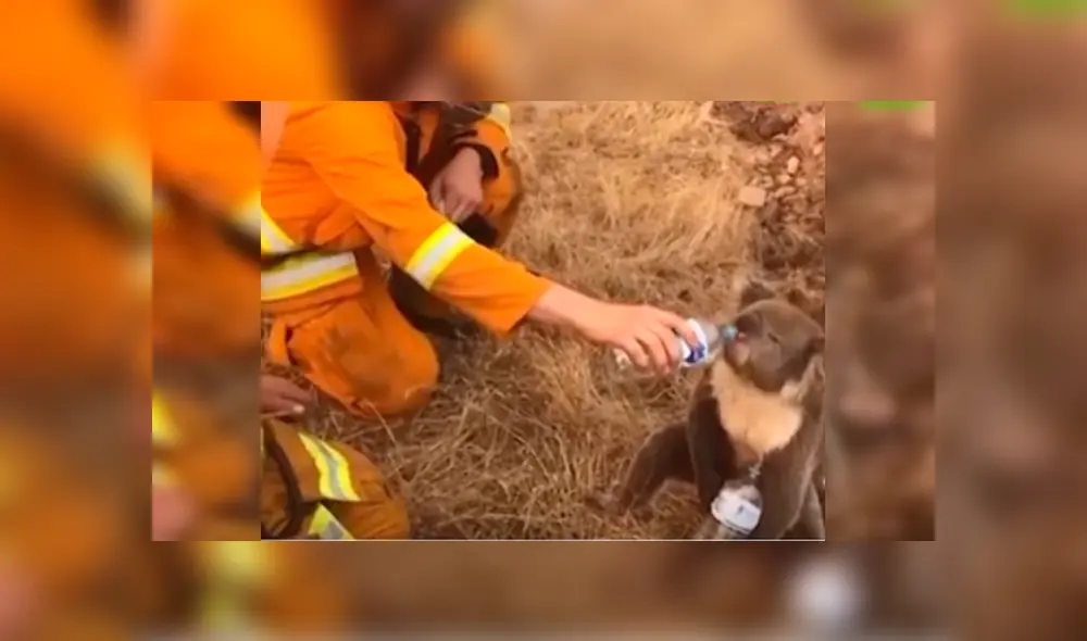 Las imágenes de la conmovedora escena han dado la vuelta al mundo tras ser difundidas en YouTube y otras redes Las imágenes de la conmovedora escena han dado la vuelta al mundo tras ser difundidas en YouTube y otras redes