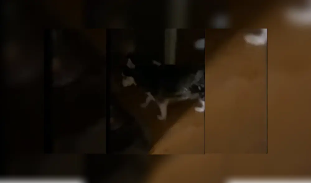 Desliza hacia la izquierda para ver más del video viral. Fotocaptura: YouTube Desliza hacia la izquierda para ver más del video viral. Fotocaptura: YouTube