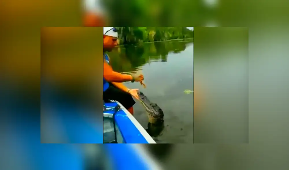 Desliza hacia la izquierda para ver la reacción que tuvo un cocodrilo al recibir sus alimentos, hecho que se viralizó en Facebook.