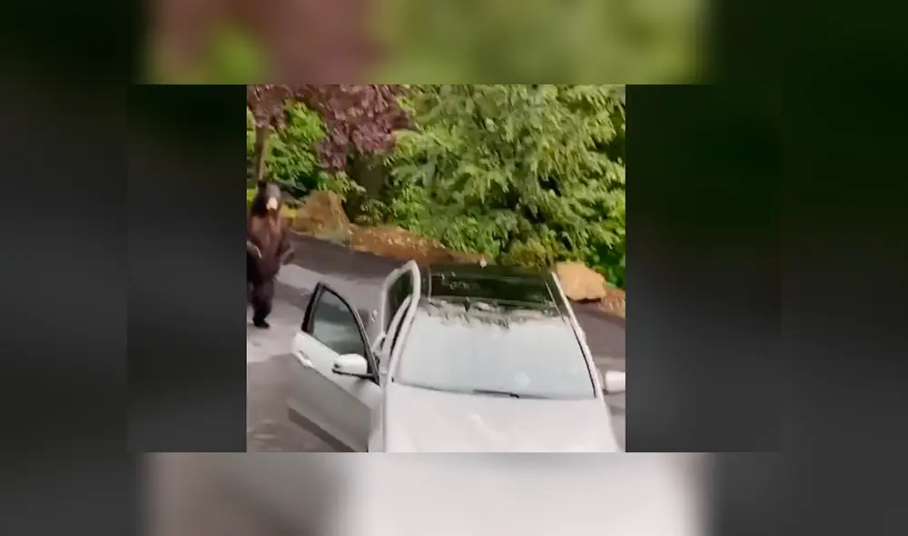 Desliza la imagen de TikTok para ver todas las fotos.