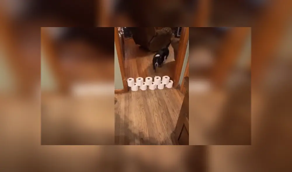 Desliza para ver los detalles del video viral publicado en YouTube. Foto: Captura. Desliza para ver los detalles del video viral publicado en YouTube. Foto: Captura.