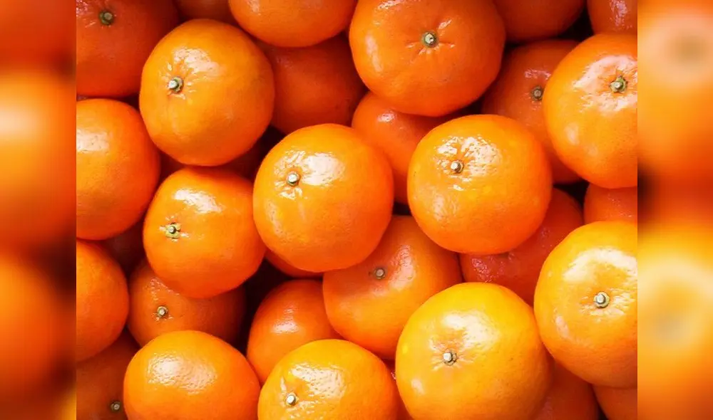 Camposol adquiere plantaciones de mandarinas en Uruguay