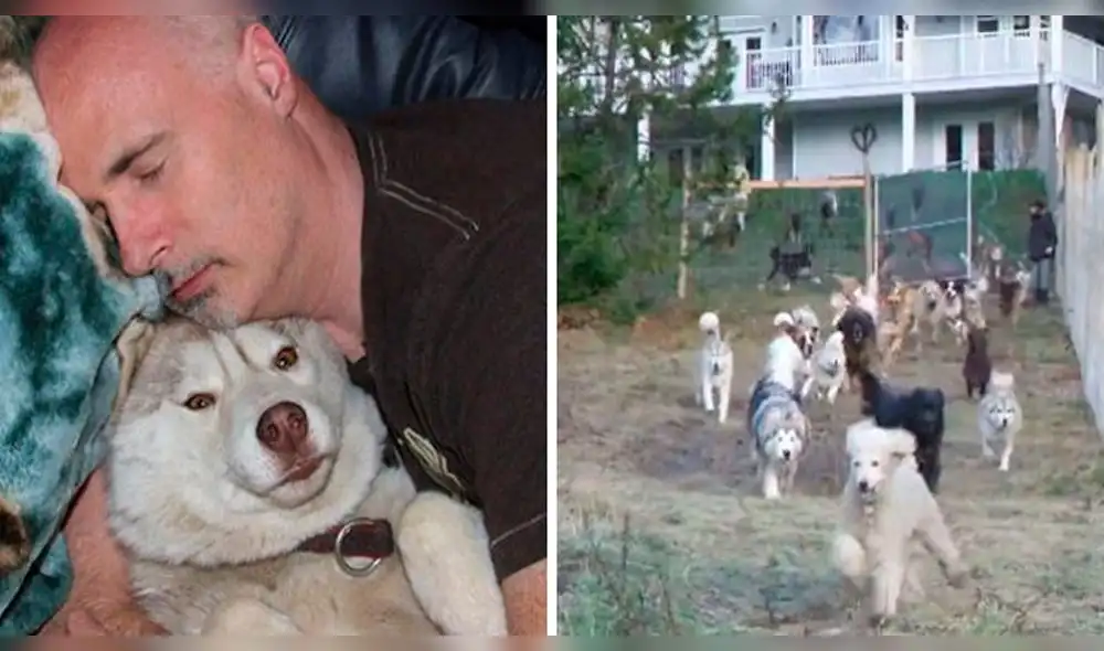 Hombre construye un recinto para sus perros rescatados [FOTO]