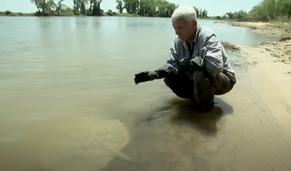 Desliza hacia la izquierda para ver las imágenes del video viral. Foto: Captura de YouTube.