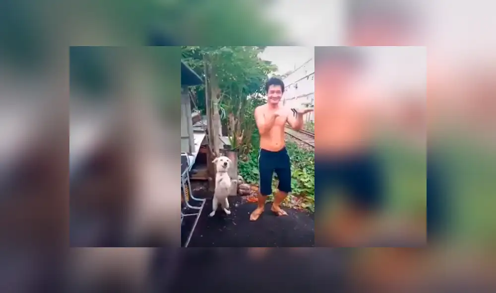 Desliza las imágenes hacia la izquierda para apreciar los pasos de bailar que realizó un perro junto a su dueño.