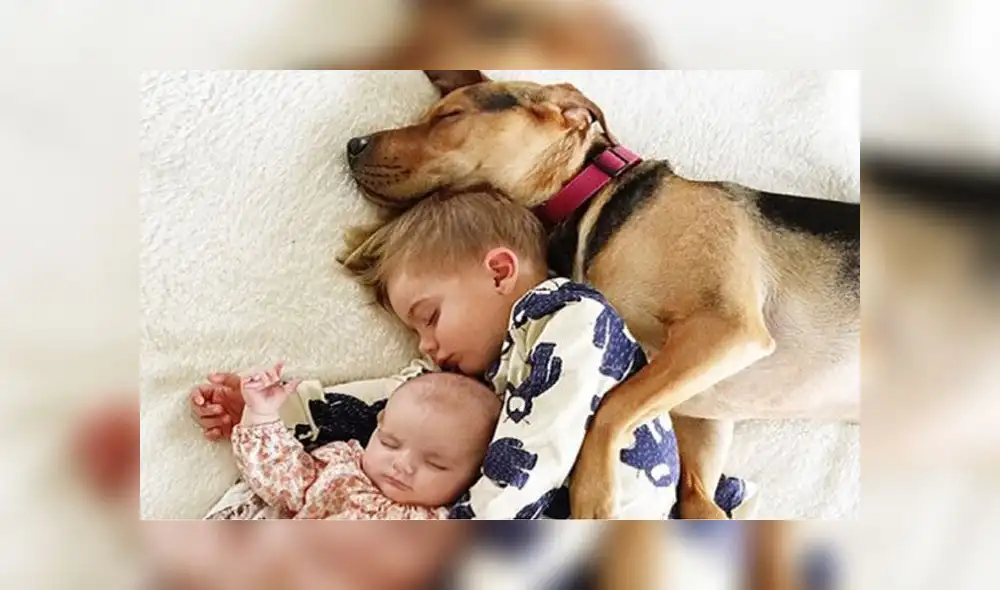 Tener mascotas y los beneficios para la salud que no conocías