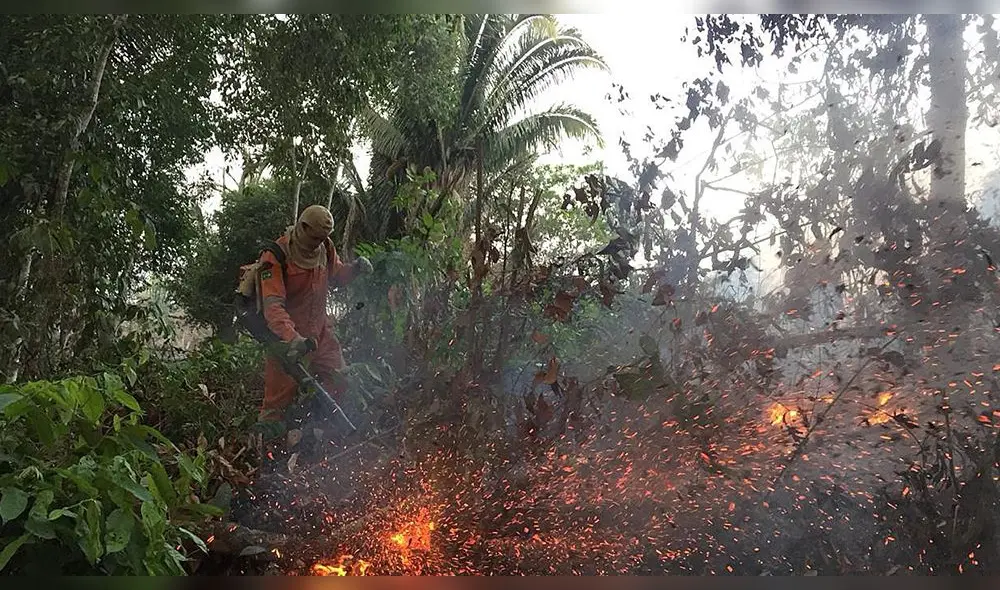 Salma Hayek sobre incendio en la Amazonía: “Participo en la reforestación” Salma Hayek sobre incendio en la Amazonía: “Participo en la reforestación”