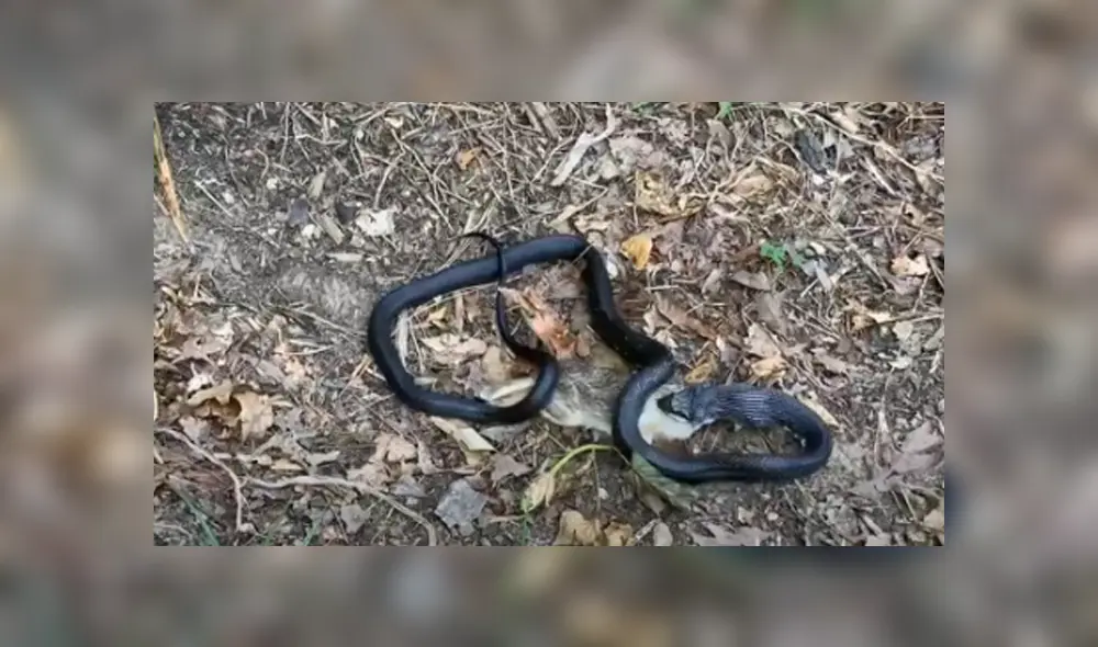 Desliza hacia la izquierda para ver las imágenes del viral de Facebook. Desliza hacia la izquierda para ver las imágenes del viral de Facebook.