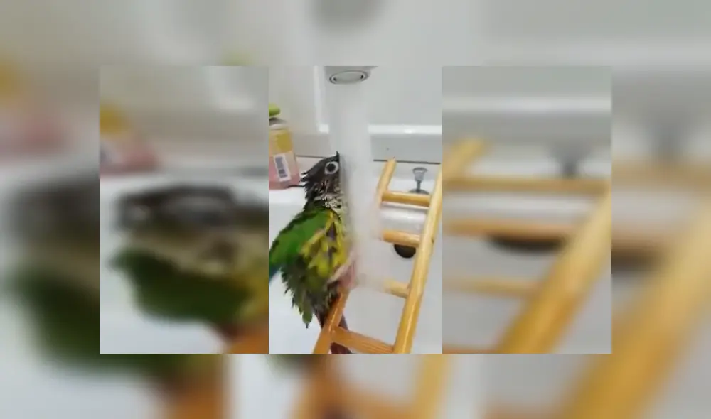 Desliza para ver los detalles del video viral publicado en YouTube. Foto: Captura. Desliza para ver los detalles del video viral publicado en YouTube. Foto: Captura.