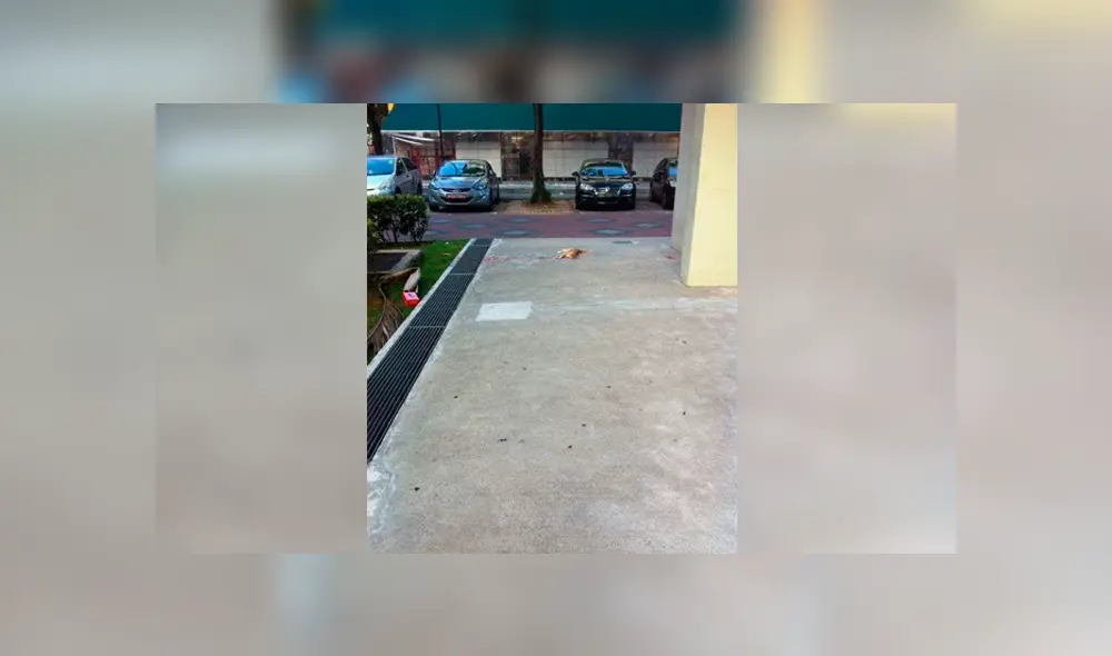 Desliza para ver los detalles de esta historia que se viralizó en Facebook. Foto: Captura. Desliza para ver los detalles de esta historia que se viralizó en Facebook. Foto: Captura.