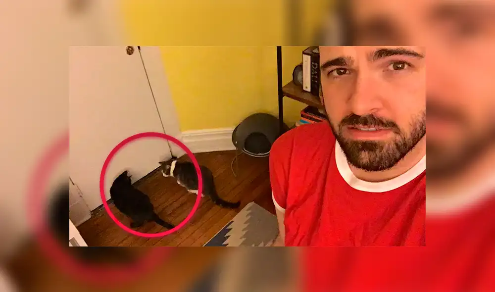 Twitter: joven afirma que en su casa ocurren sucesos paranormales y los graba en video