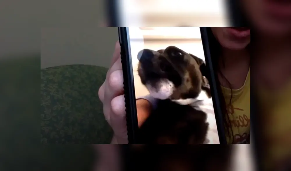 Desliza la imagen de Facebook para ver todas las fotos. Desliza la imagen de Facebook para ver todas las fotos.