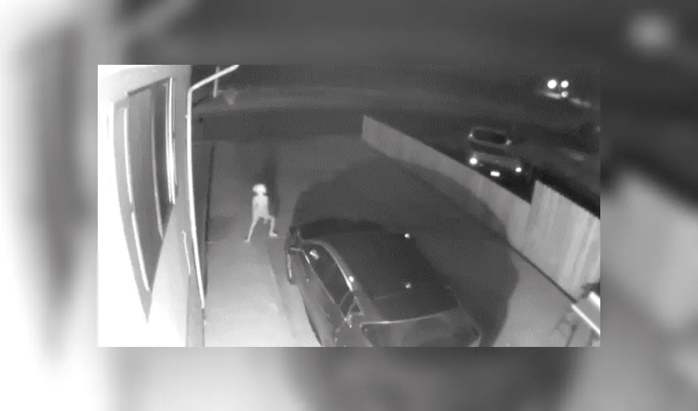 Facebook viral: Terrorífica criatura genera pánico tras ser captada por cámara de seguridad [VIDEO]