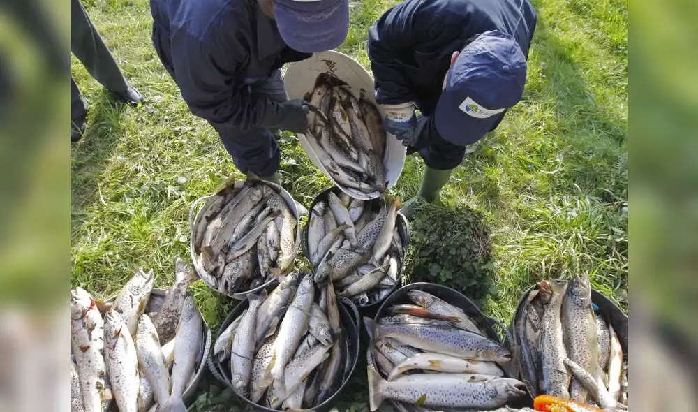 Recortar los derechos laborales no asegura una mejor productividad Recortar los derechos laborales no asegura una mejor productividad