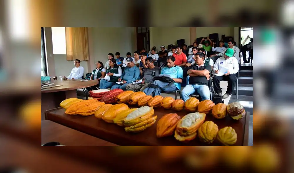 Vraem: profesionales reciben capacitación en cosecha y post cosecha Vraem: profesionales reciben capacitación en cosecha y post cosecha