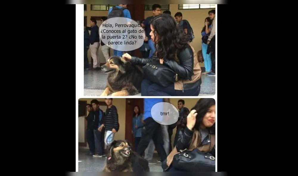 Pancho Cavero reveló que está al cuidado de 'Perrovaca' [FOTOS] 