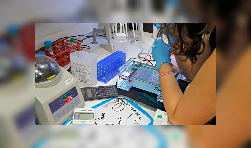 Un colaborador de Iftach Yacoby trabaja en el proyecto de investigación. 11 de junio de 2020. | Foto: Jack Guez / AFP