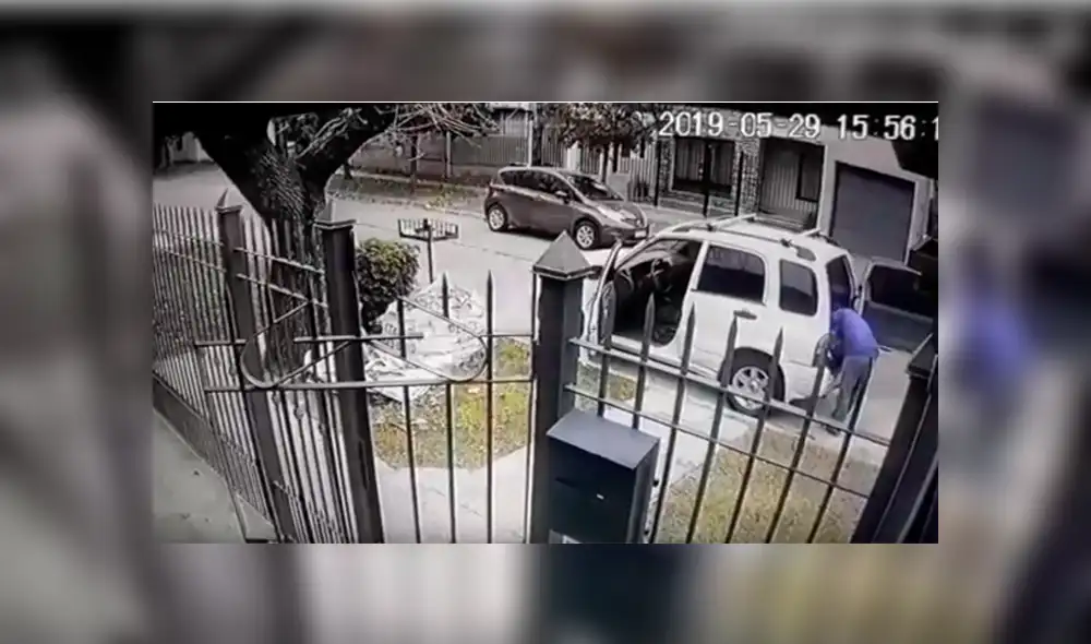 YouTube viral: Perros ven que su dueño es asaltado con pistola y lo rescatan valerosamente [VIDEO] 