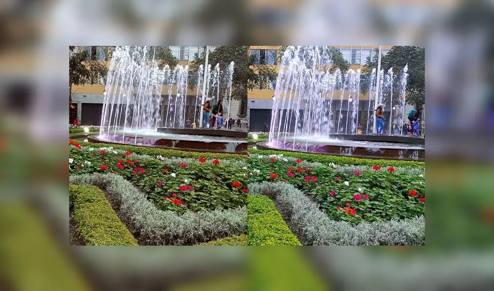 El modo automático y cámara IA.