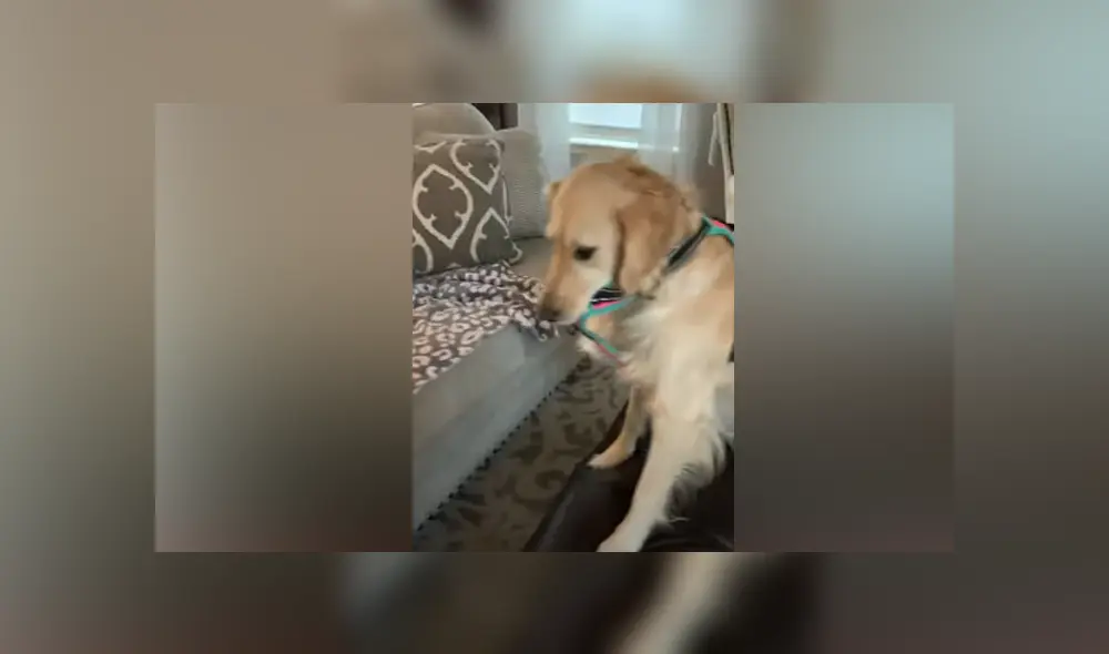 Desliza hacia la izquierda para ver las imágenes del viral de Facebook.