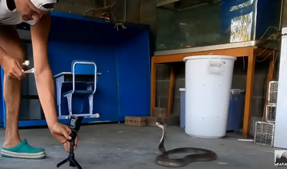 Desliza hacia la izquierda para ver las imágenes del video viral. Foto: captura de YouTube. Desliza hacia la izquierda para ver las imágenes del video viral. Foto: captura de YouTube.