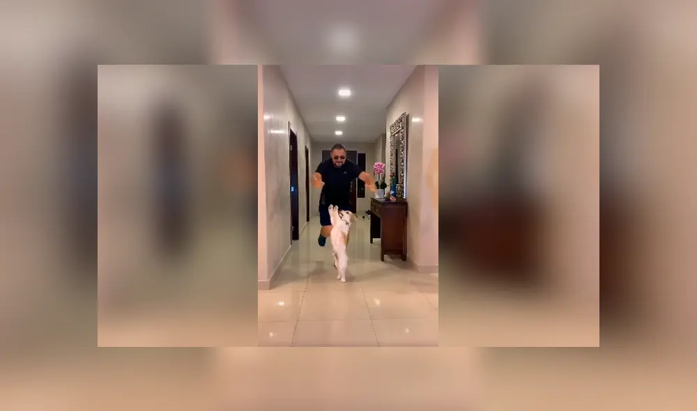 Desliza las imágenes hacia la izquierda para apreciar los impresionantes movimientos de un pequeño perro. Desliza las imágenes hacia la izquierda para apreciar los impresionantes movimientos de un pequeño perro.