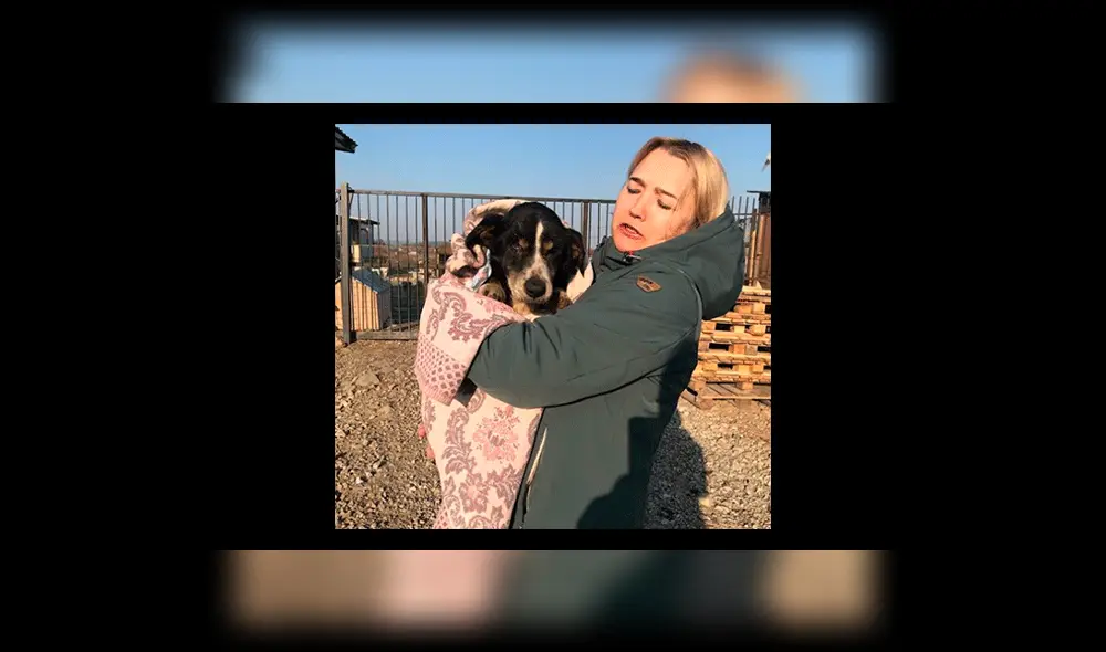 Instagram: entierran a perro creyendo que murió y "resucita" al poco tiempo [FOTOS]