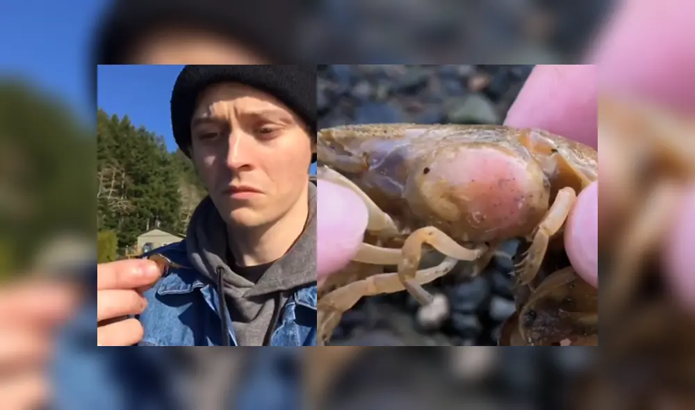 Desliza para ver los detalles del video viral publicado en YouTube. Foto: Captura. Desliza para ver los detalles del video viral publicado en YouTube. Foto: Captura.