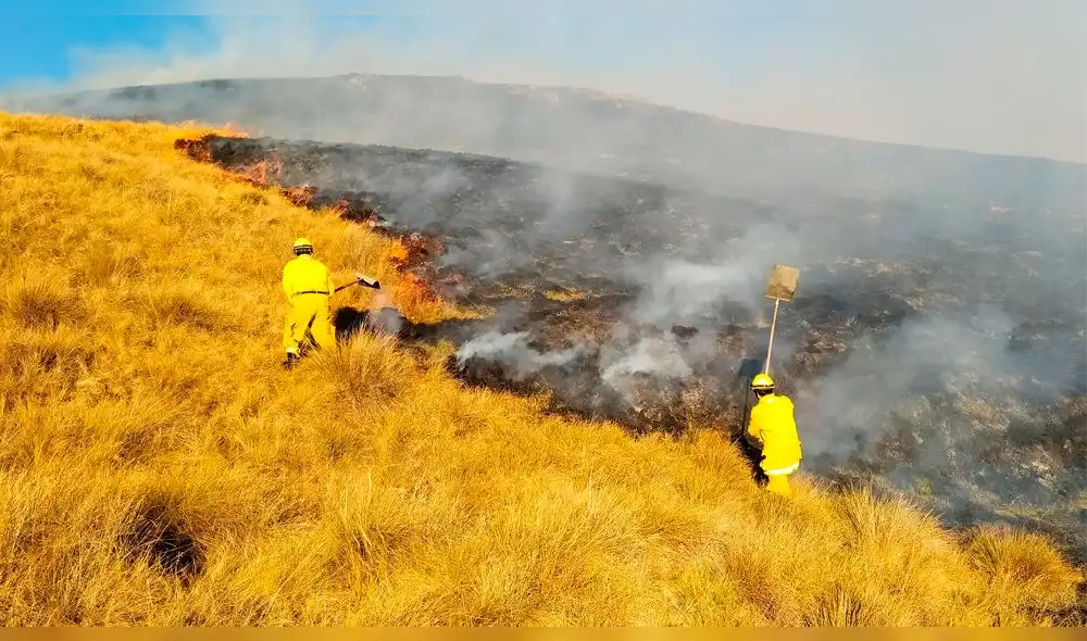 Incrementa número de incendios forestales en Cusco.