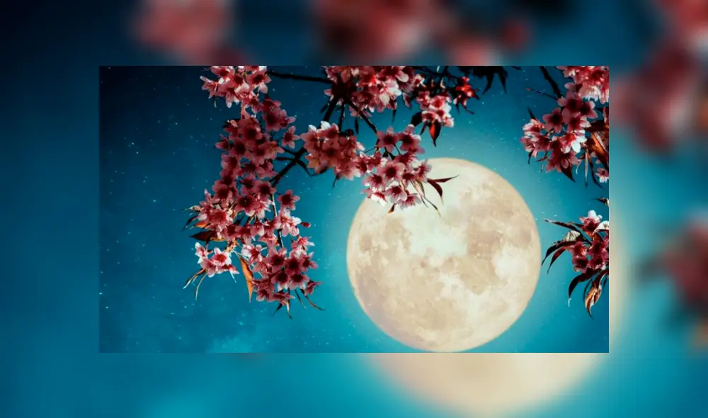 Se espera que la Luna de las flores sea igual de hermosa que la Luna de abril. Foto: GMN