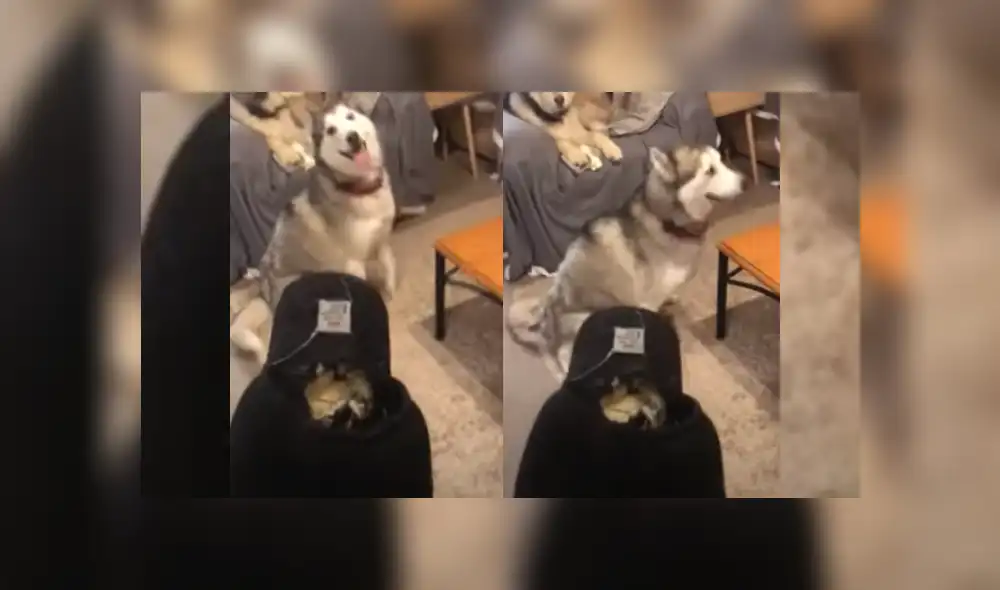 Desliza hacia la izquierda para ver más del video viral. Fotocaptura: YouTube Desliza hacia la izquierda para ver más del video viral. Fotocaptura: YouTube