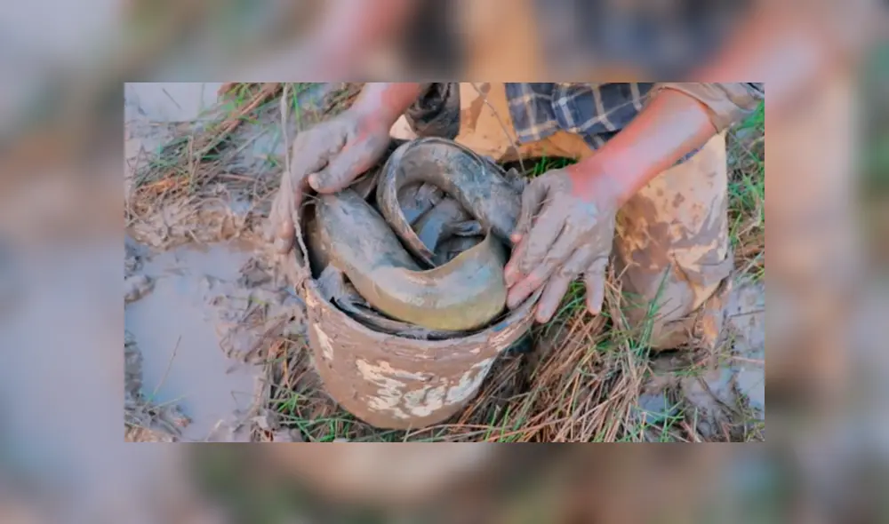 YouTube viral: arroja uvas y huevos en extraño agujero y en segundos aparecen extraños peces YouTube viral: arroja uvas y huevos en extraño agujero y en segundos aparecen extraños peces