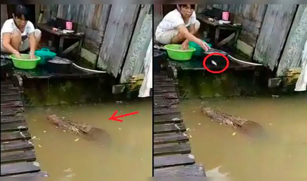 YouTube: Valiente mujer lava en el río junto a un cocodrilo e incluso lo engríe [VIDEO]