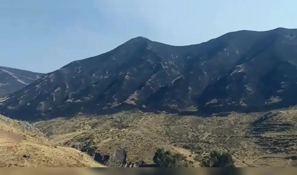 Se calcula que más 200 hectáreas de flora han sido afectadas hasta el momento. Foto: Luis Álvarez.