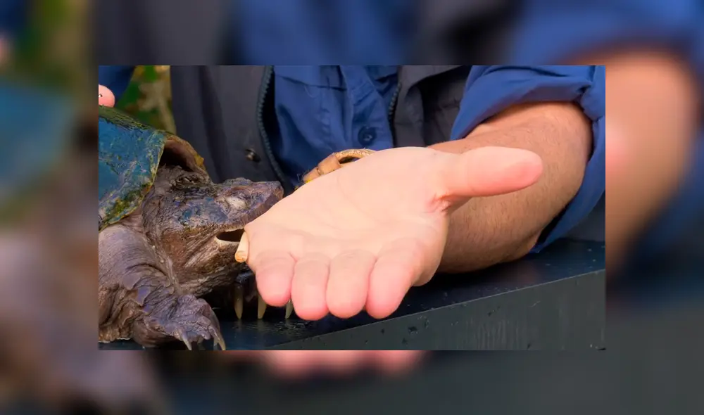 Desliza para ver los momentos más impactantes del video que se hizo viral de YouTube.