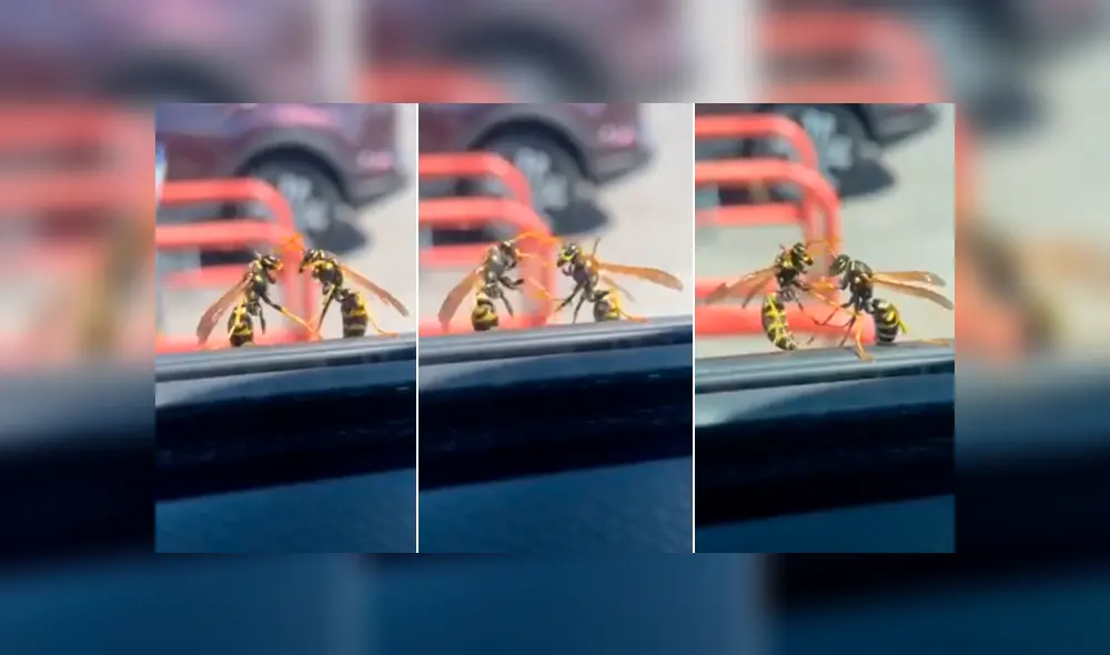 Desliza la imagen compartida en Facebook para ver todas las fotos. Desliza la imagen compartida en Facebook para ver todas las fotos.