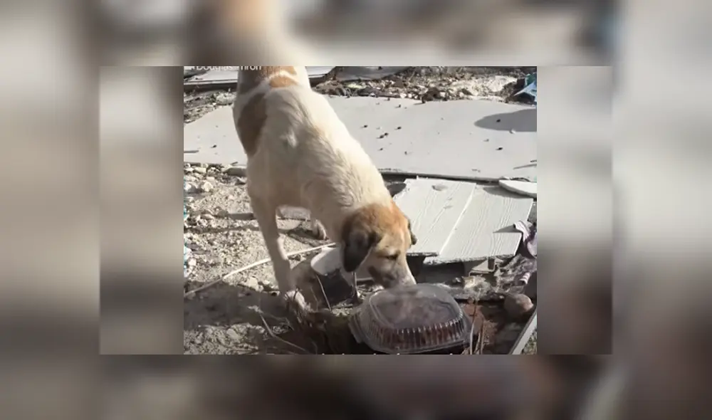 Desliza hacia la izquierda para ver el conmovedor rescate. Imágenes virales de Facebook. Desliza hacia la izquierda para ver el conmovedor rescate. Imágenes virales de Facebook.