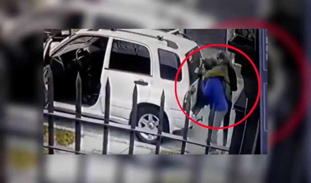 YouTube viral: Perros ven que su dueño es asaltado con pistola y lo rescatan valerosamente [VIDEO] 