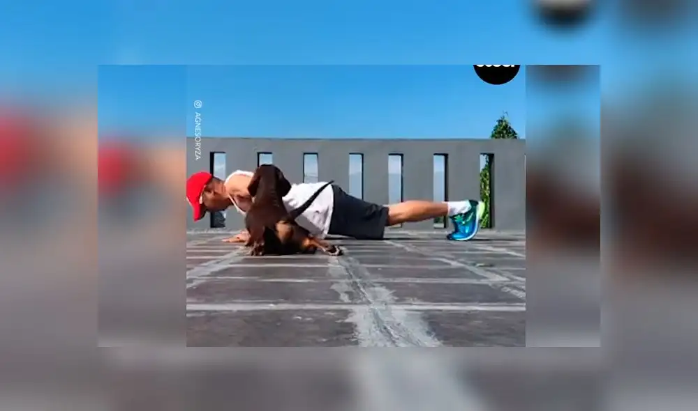 Desliza las imágenes para ver la peculiar escena que protagonizó un perro, la cual arruinó el video tutorial de su dueño. Foto: Woof Woof Desliza las imágenes para ver la peculiar escena que protagonizó un perro, la cual arruinó el video tutorial de su dueño. Foto: Woof Woof