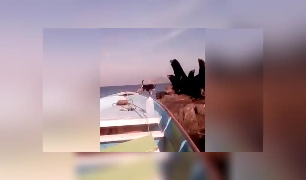 Desliza para ver los momentos más divertidos del video que se hizo viral en Facebook.