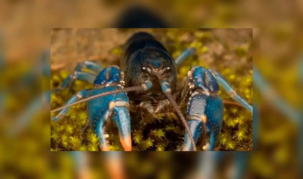 Desliza la imagen de Facebook para ver todas las fotos. Desliza la imagen de Facebook para ver todas las fotos.