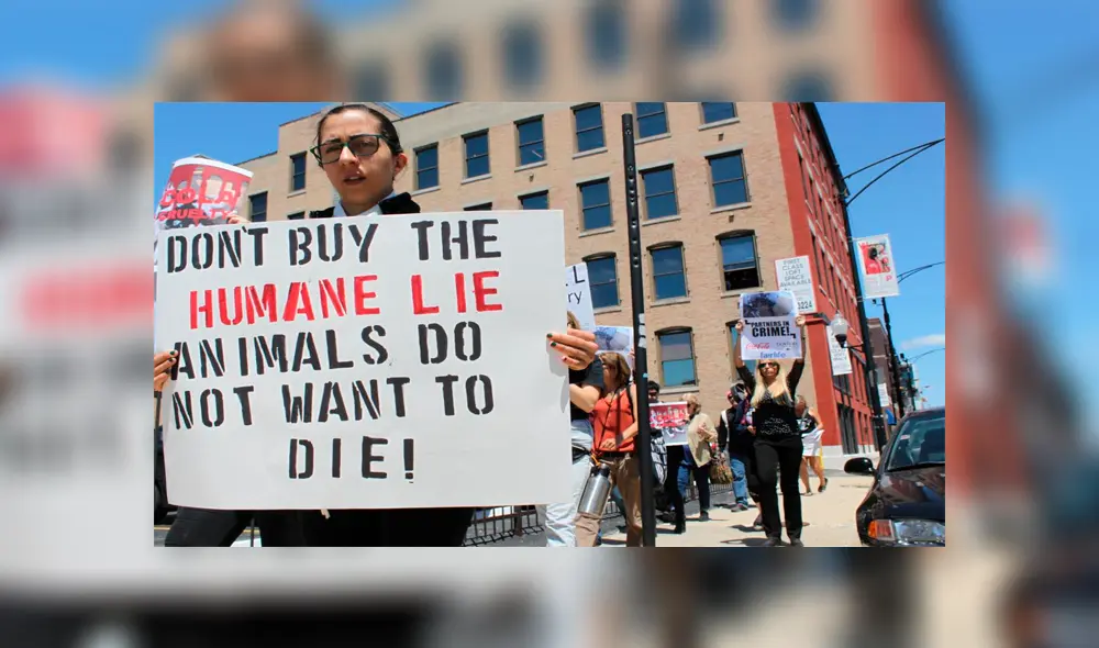 Lo captan maltratando animales y es sentenciado a libertad condicional [VIDEO] 