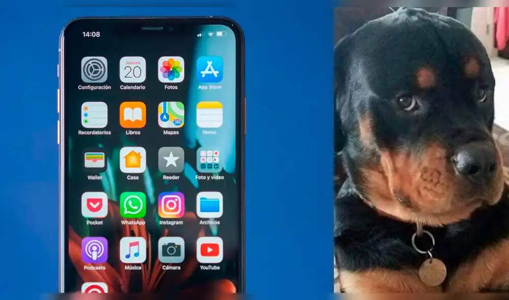 Facebook: joven compra el iPhone XS, su perro 'juega' con él y lo deja así [VIDEO]