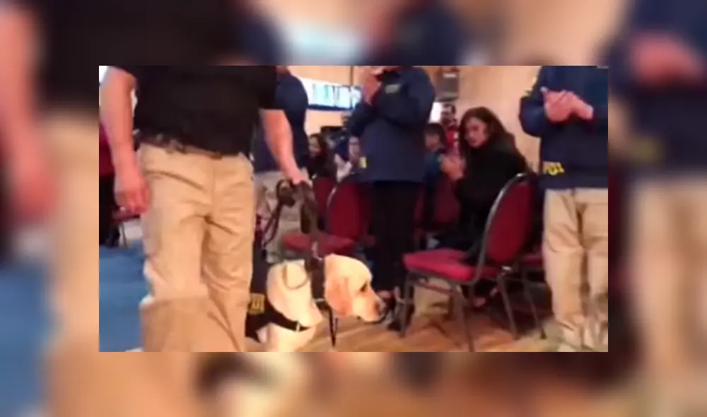 En YouTube, un grupo de policías realizó una conmovedora despedida a un perro que trabajo durante seis años. En YouTube, un grupo de policías realizó una conmovedora despedida a un perro que trabajo durante seis años.