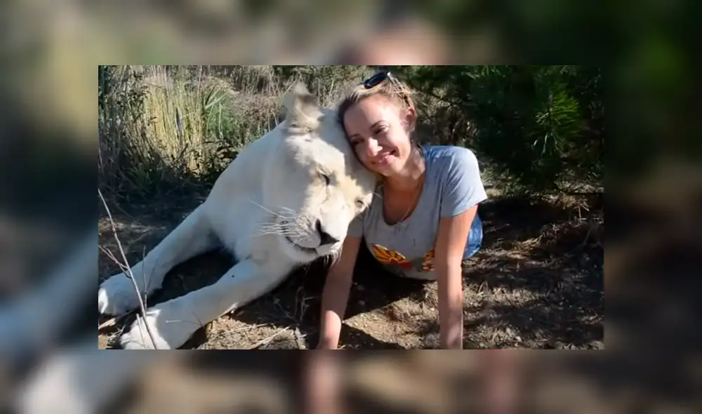 El video viral de YouTube muestra la reacción que tuvo una leona al toparse con una modelo hacía safari dentro de un peligroso campo de felinos.